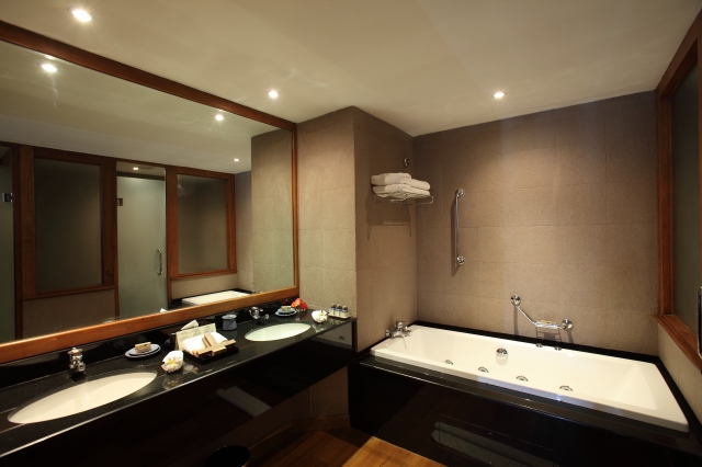 Pic 17 - Suite Bath Room